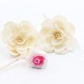 Lufterfrischer Home Weiße Farbe Getrockneter Diffusor Blume Reed Diffusor
